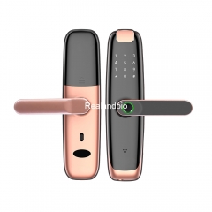 ZD-L003 Fingerprint Smart Lock